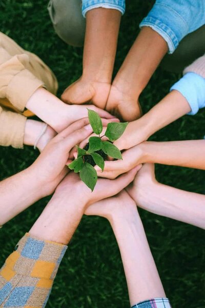 Picture of different hands holding up a plant