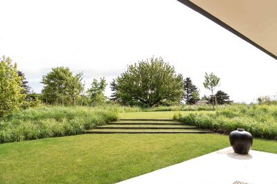 Esquisse d'une terrasse arborée