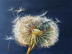 HCPC Psychologist, Accredited EMDR Practitioner, EMDR Intensives