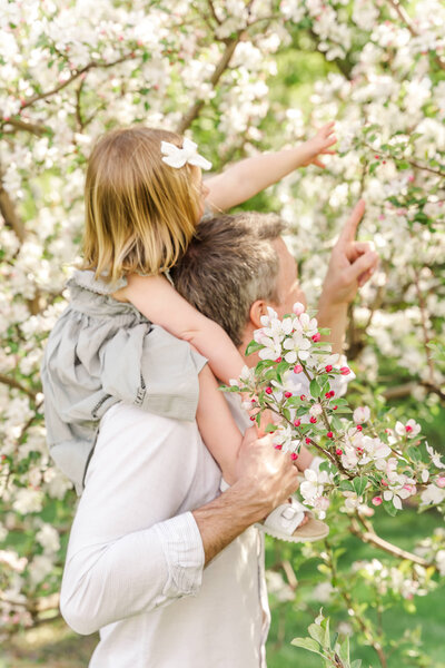child sitting on fathers shoulders during a cherry blossom minnesota family session