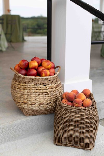 Fruit in baskets out at Maryland Farm