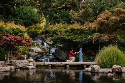 Man proposing to his girlfriend at the Big Ben.