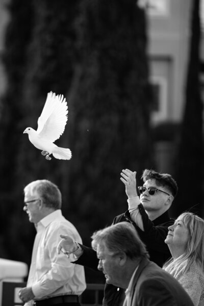 15-commercial-photos-orange-county-lauren-ford-photography.