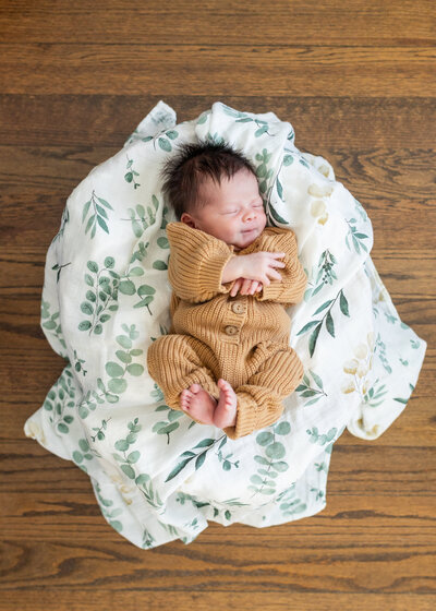 Berkley Newborn Photographer Savvy Shoots Photography