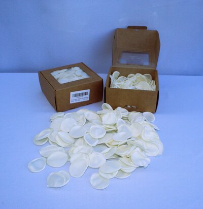 white rose petal