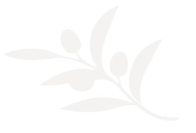 decorative olive branch