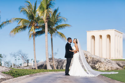 Elana Events The Bahamas Bride and Groom wedding planning image