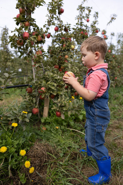 Apple Picking Boy Overalls Boots