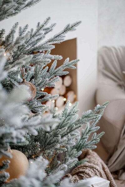 Bright & Beautiful resource with easy at home holiday photo setups and backdrop ideas for moms