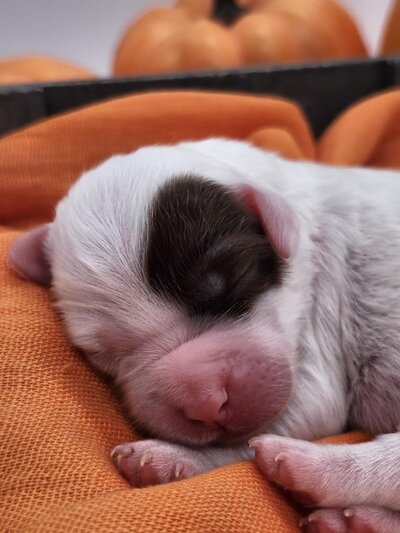 1948620b-c7f1-46d3-8f7a-adac14908b17