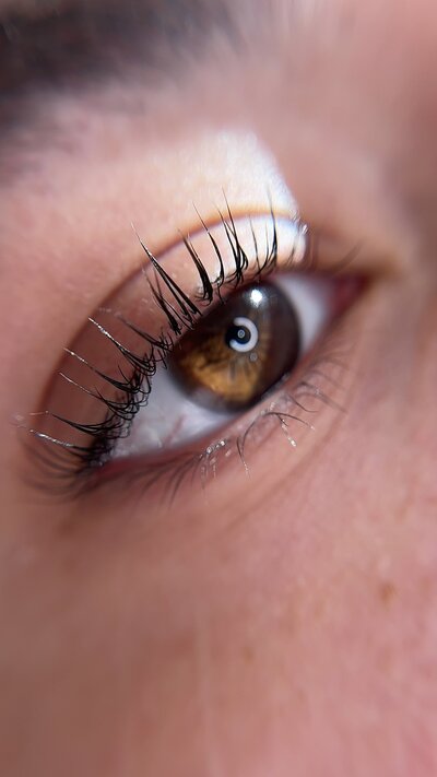 beautifully lifted lashes that give a refreshing, wide eyed look for clients with straight lashes