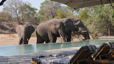 African travel Menzie Luxe Retreats.