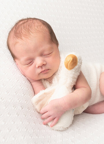 geposeerde newborn baby met knuffel