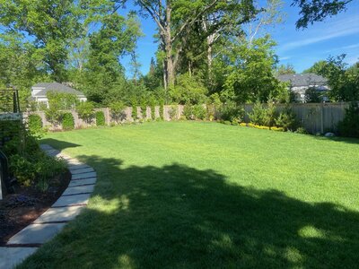Fully transformed backyard with a lush green lawn, a curved stone pathway, and a well-manicured landscape bordered by trees and shrubs.