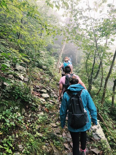 Hiking on the Appalachian Trail with Her Hike Collective