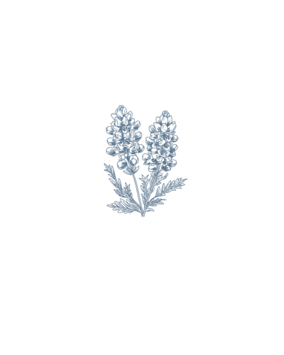 Bluebonnet icon for P+B Photography