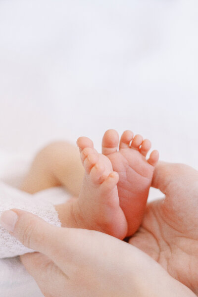 Mckinney newborn photographer