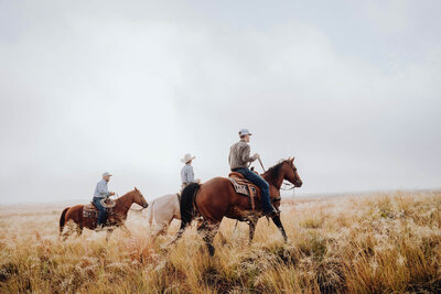 luxury travel on horse back
