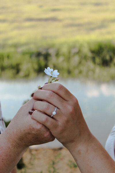 Two Hands Holding a Flower, Engagement Ring in Focus, Connecticut Engagement Photos