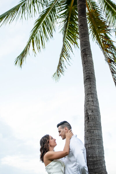 Couple hugging by palm tree