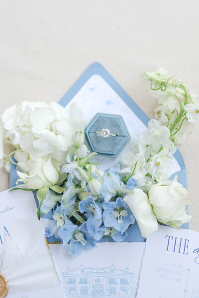 andrea-silva-photography-luxemore-grande-estate113