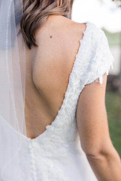 bride and groom wrapped in veil at Daniel's Vineyard photographed by Kaitlin Mendoza Photography, a wedding photographer in Indianapolis