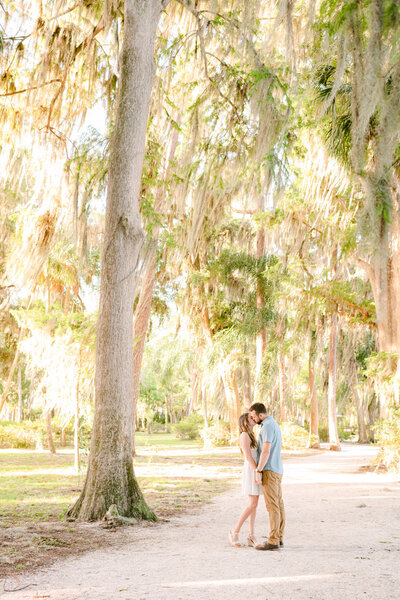 bride and groom kissing surrounded by large trees