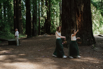 California Redwood Wedding Photographer - Kate Donaldson