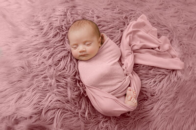 Princeton Portrait studio Newborn and Maternity Photographer