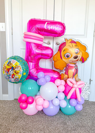 balloons-bismarck-nd-146