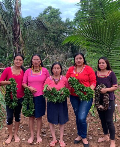Kichwa women with Guayusa