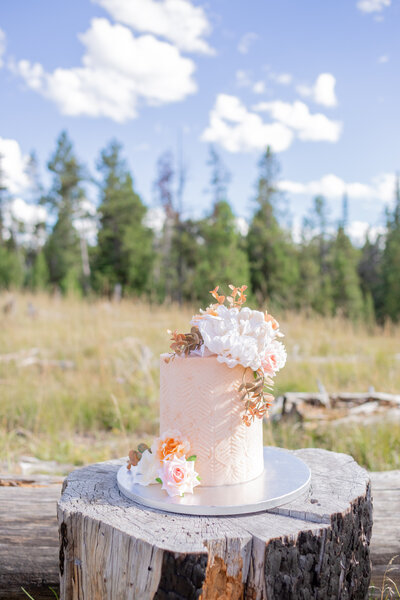Seattle Wedding Planner Investment Packages with photo of cake on tree stump in the forest