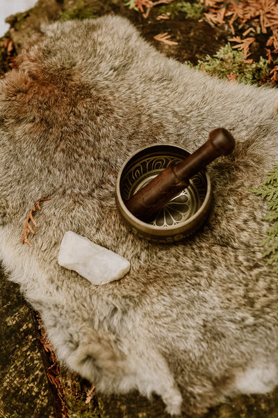 singing bowls, sound journey in forest