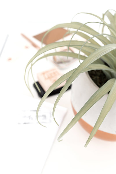 haute-stock-photography-pretty-packaging-final-8