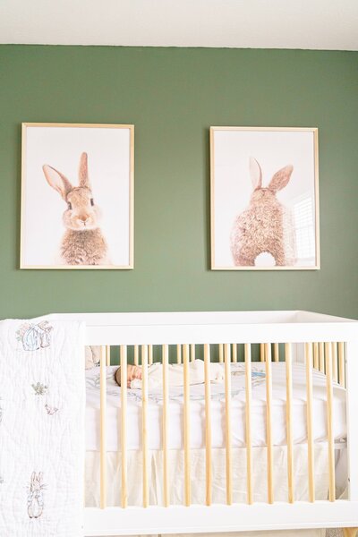 newborn baby sleeping in his crib with bunny pictures on the wall