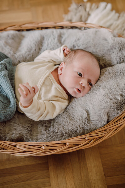Newborn Shooting in Rheinhessen
