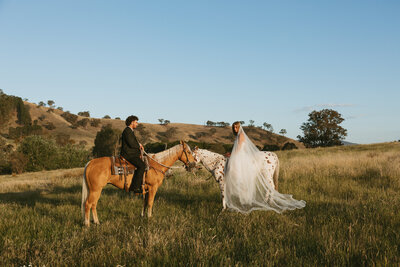 bride and groom portrait at wedding in victoria