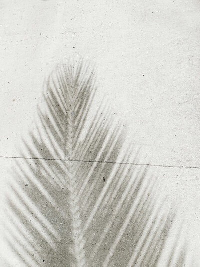 wavy overlapping lines