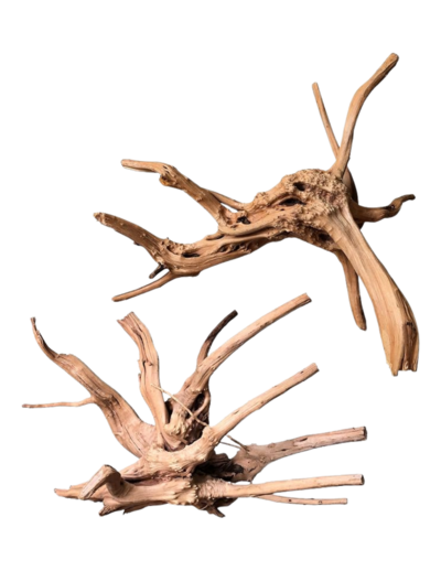 spiderwood