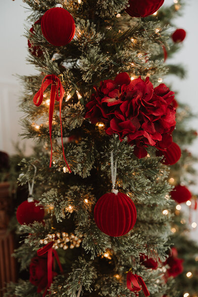 christmas-18_websize