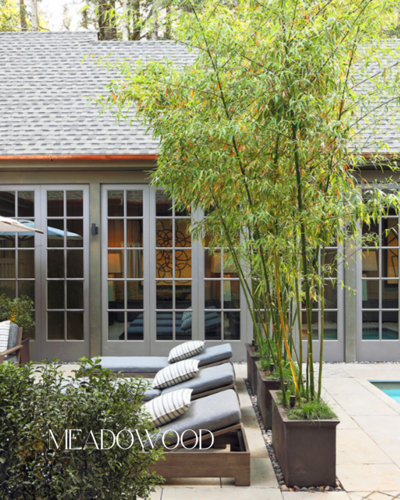 Serene resort courtyard at Meadowood Napa Valley, perfect for private wedding weekends and celebrations.