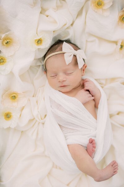 Wall Gallery Example by Philadelphia Newborn Photographer Samantha Jay