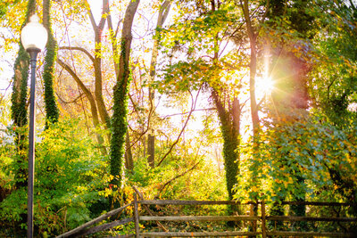 Virginia Beach photographers captures international landscape portrait from Australia