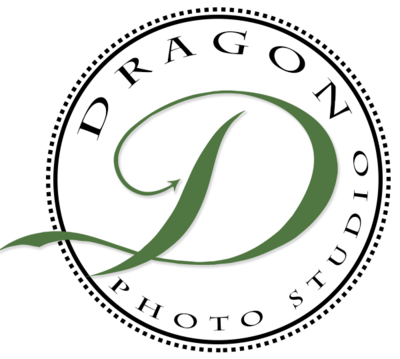 Dragon Studio Stamp 2022 web