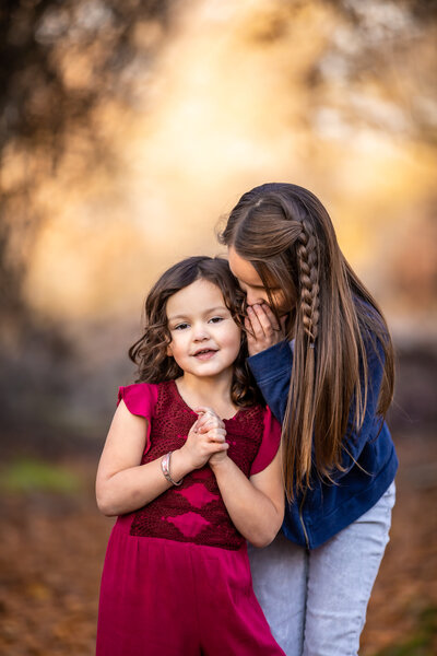 Website-24