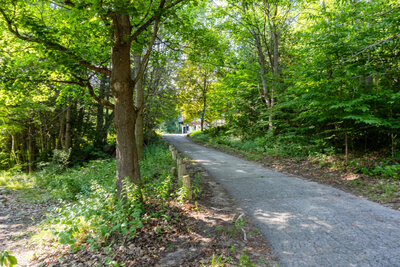 4204 Conc 8 driveway