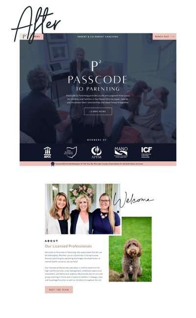 After image of Passcode to Parenting’s updated website, demonstrating a refreshed and modern design that improves user navigation.