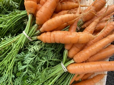 Fresh local carrots