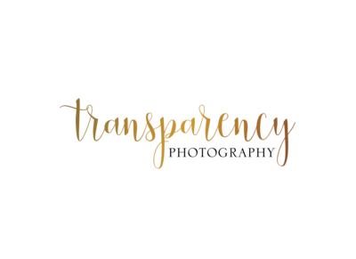 trans_logo_transparent