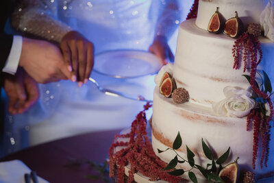 couple cutting wedding cake